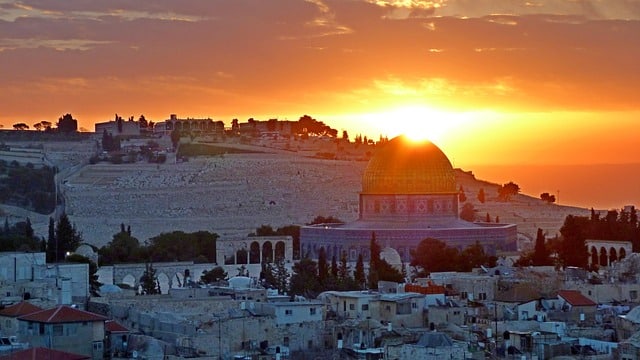 הדברה בירושלים