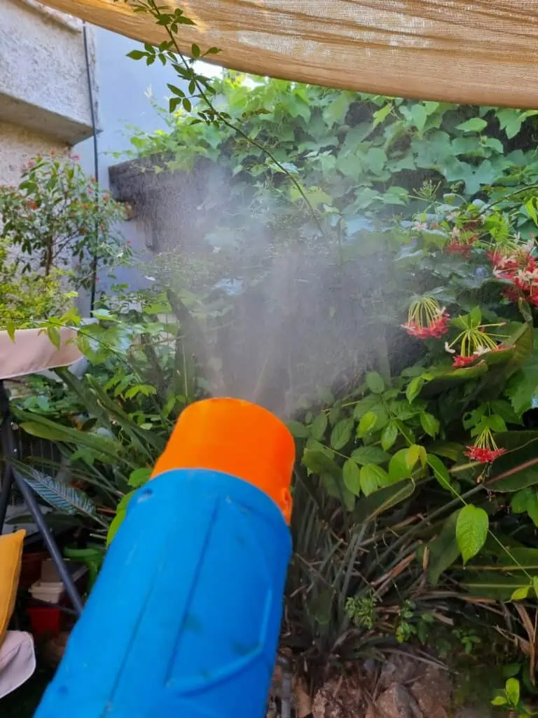 ריסוס נגד יתושים בגינה